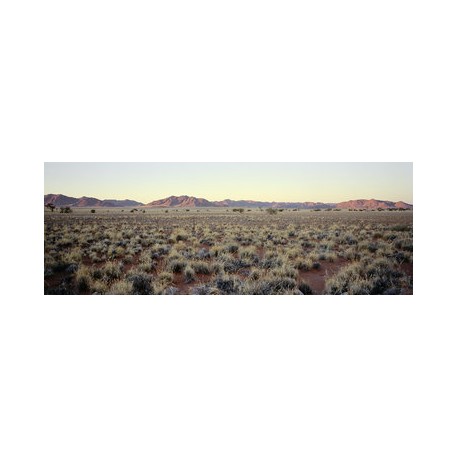 Sergio De Arrola - Namibian desert (Namibia), 2016