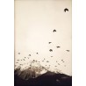 "View Room nº2 14/11/2022" by Beny Steiner