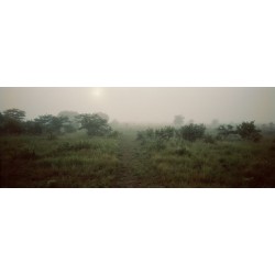 Sergio De Arrola - Fog (Zambia), 2016
