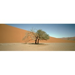 Sergio De Arrola - Fuck Dune 45 (Namibia), 2016